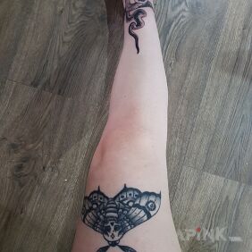 Tattoo Snake and moth on the leg motif: animals style: graphic / illustrative