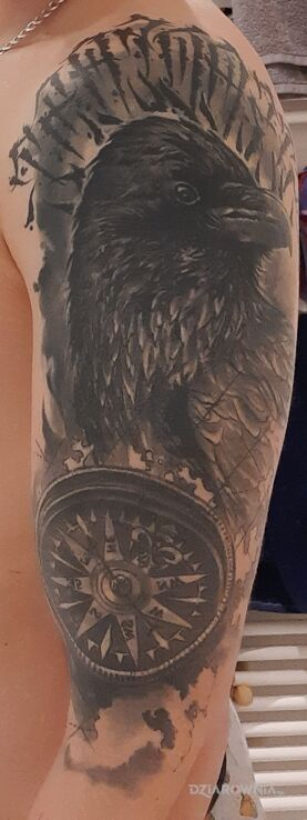 Tatuaż czarny ptak kompas w motywie przedmioty i stylu realistyczne na ramieniu