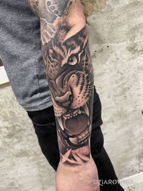 Tatuaż tygrys w szarościach w motywie czarno-szare i stylu realistyczne na przedramieniu