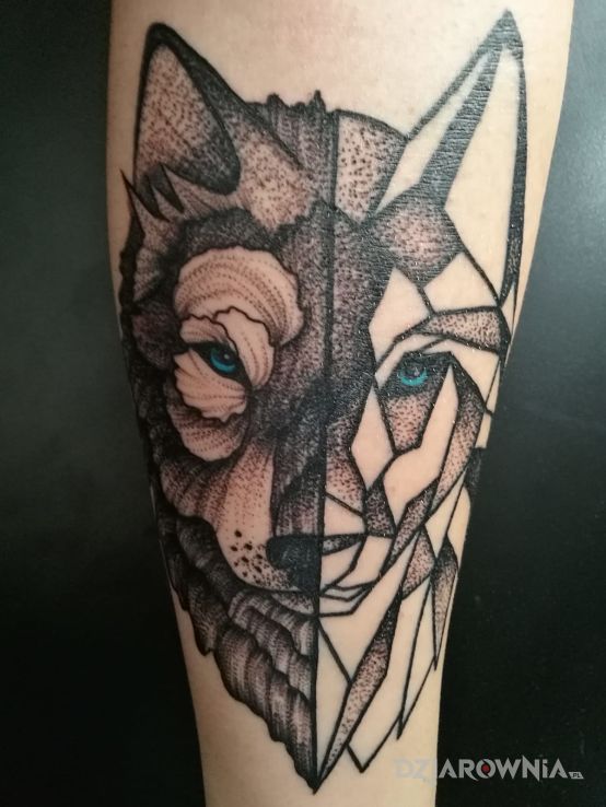 Tatuaż geometric wolf w motywie zwierzęta i stylu dotwork na przedramieniu