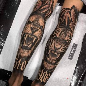 Tattoo Lion and tiger on the calf motif: black and gray style: realistic