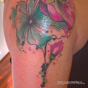 Tatuaż Kwiaty wiśni na ramieniu motyw: kwiaty styl: watercolor