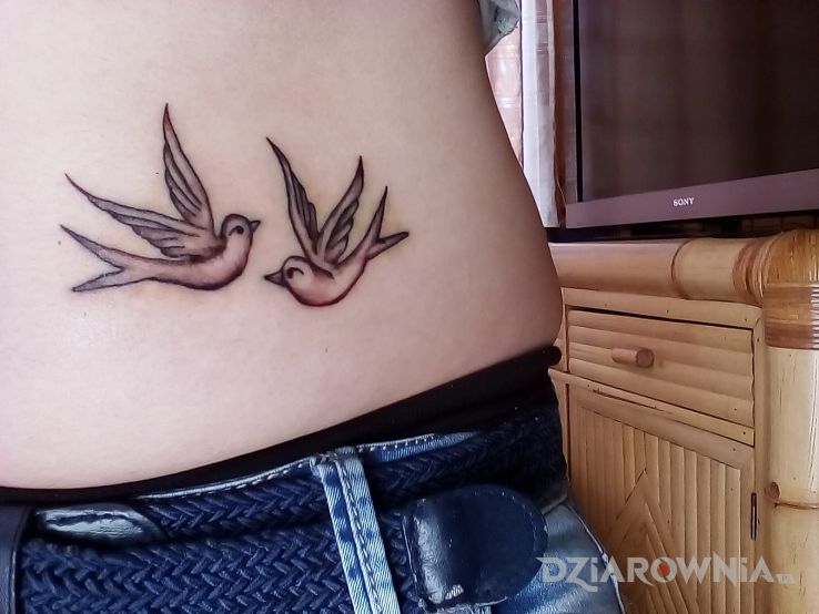 Tatuaż ptaki w motywie zwierzęta na brzuchu