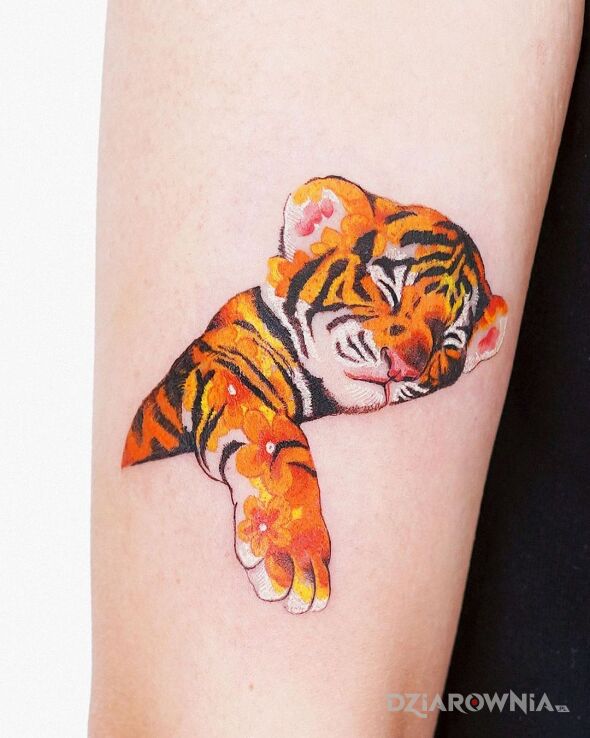 Tatuaż tygrysek w motywie kolorowe i stylu graficzne / ilustracyjne na przedramieniu