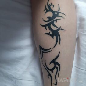Tattoo Tribal on the leg motif: black and gray style: tribal