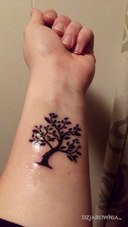 Tatuaż drzewko szczęścia w motywie pozostałe na przedramieniu