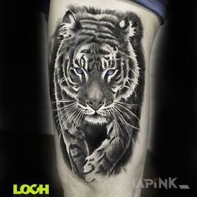 Tattoo Tiger on the thigh motif: black and gray style: realistic