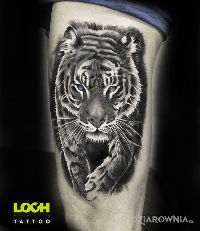 Tatuaż tygrys w motywie zwierzęta i stylu realistyczne na udzie