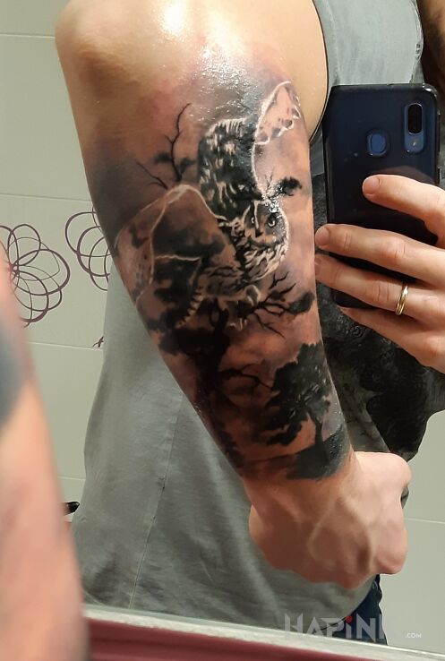 Tattoo Sowa in black and gray motif and realistic style on the forearm