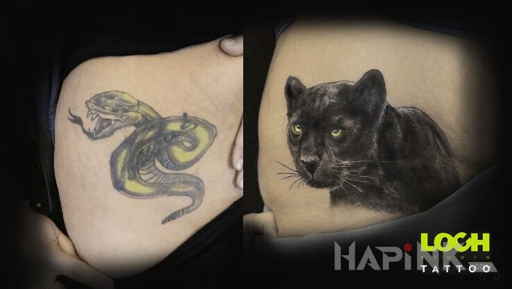 Tattoo Cover, Pantera in animals motif and realistic style on the stomach