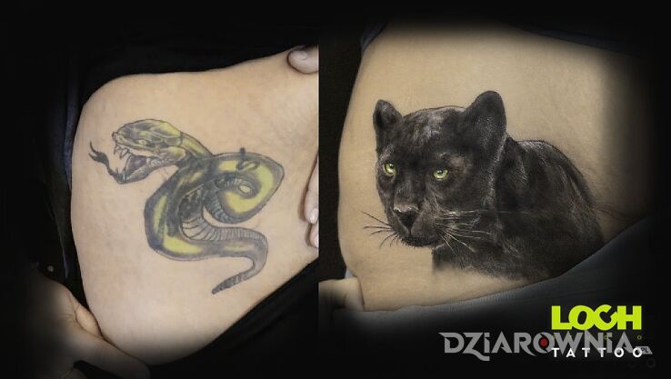 Tatuaż cover pantera w motywie zwierzęta i stylu realistyczne na biodrze