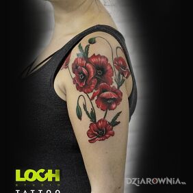 Tatuaż Maki na ramieniu motyw: kolorowe styl: realistyczne