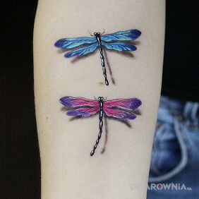 Tatuaż Ważki na przedramieniu":) na przedramieniu motyw: owady styl: realistyczne