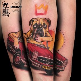 Tattoo Bulldog on the forearm motif: colorful style: newschool