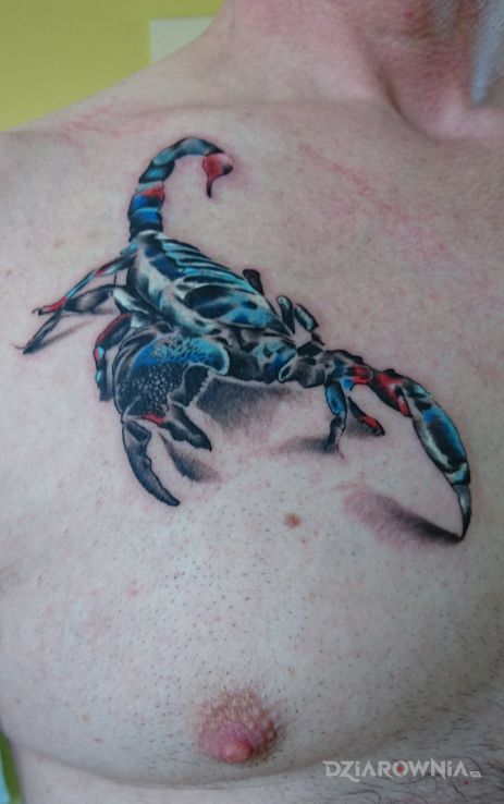 Tatuaż skorpion cesarski w motywie 3D i stylu realistyczne na klatce