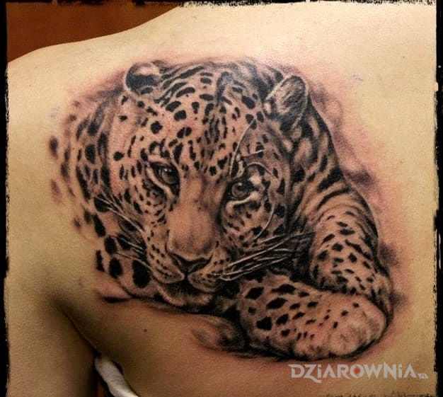Tatuaż kocur w motywie zwierzęta i stylu realistyczne na łopatkach