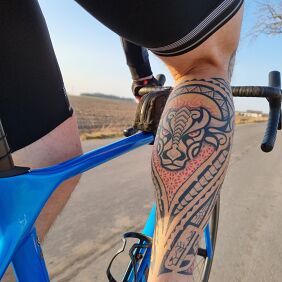 Tattoo Bull on the calf on the leg motif: zodiac signs style: Polynesian