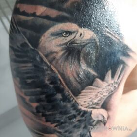 Tatuaż Orzełki na ramieniu motyw: zwierzęta styl: realistyczne