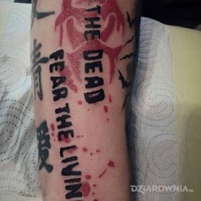Tatuaż Sentymentalny do kolekcji :D na przedramieniu motyw: napisy