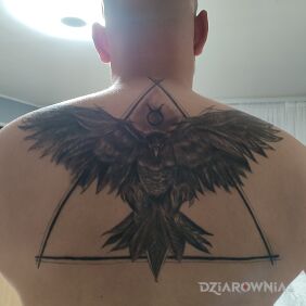 Tatuaż Orzeł na plecach motyw: czarno-szare styl: realistyczne