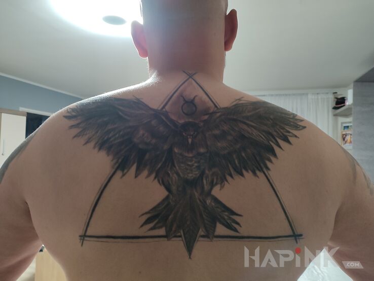 Tattoo Orzeł in black and gray motif and realistic style on the back