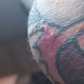 Pomoc - bable na tatuażu który był robiony w grudniu 2021
