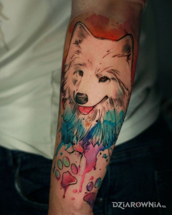 Tatuaż davincisfox dog watercolor w motywie kolorowe i stylu graficzne / ilustracyjne na przedramieniu