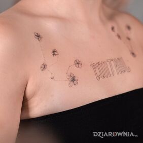 Tatuaż @davincisfox Tatuaż kwiaty na klatce motyw: napisy styl: minimalistyczne