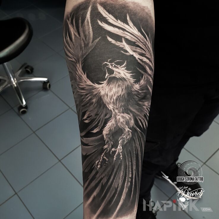Tattoo Feniks in black and gray motif and realistic style On the arm
