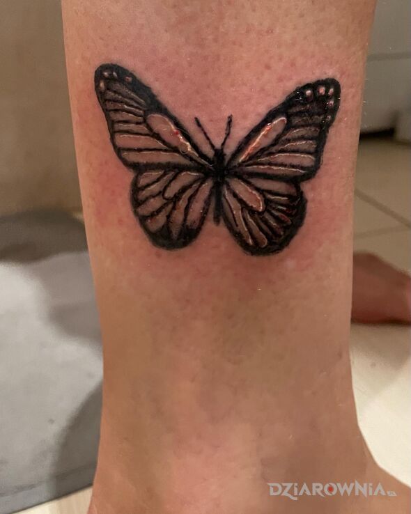 Tatuaż motyl w motywie motyle i stylu graficzne / ilustracyjne na nodze