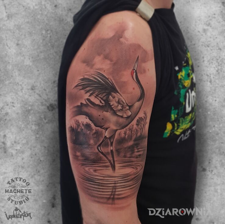 Tatuaż żuraw stoi na jednej nodze w rzece w motywie czarno-szare i stylu realistyczne na przedramieniu