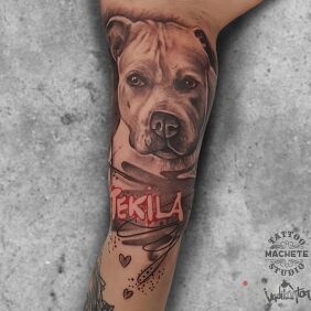 Tattoo Man's four-legged friend on the bicep motif: animals style: realistic