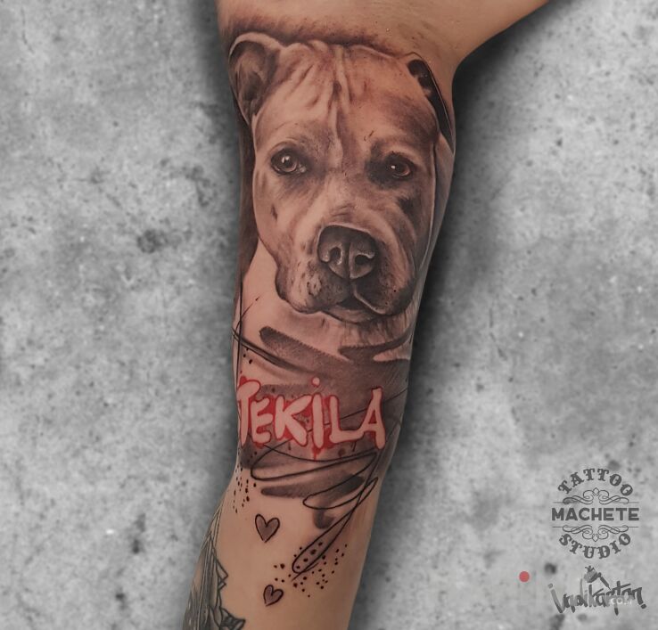 Tattoo Czworonożny przyjaciel człowieka in black and gray motif and realistic style on the bicep
