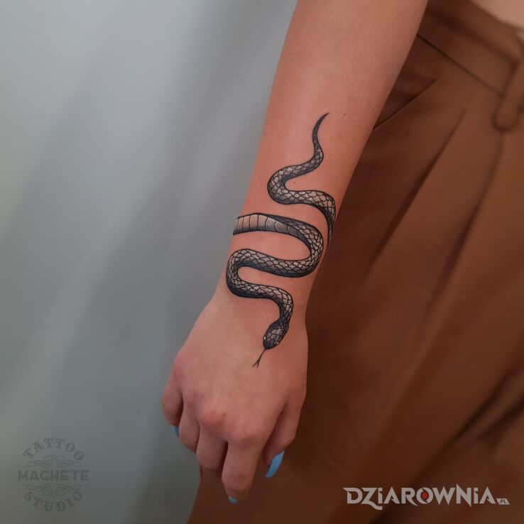 Tatuaż wąż owinął się wokół jego ręki w motywie czarno-szare i stylu realistyczne na ręce