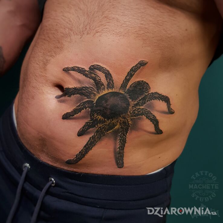 Tatuaż pająk w motywie czarno-szare i stylu realistyczne na brzuchu