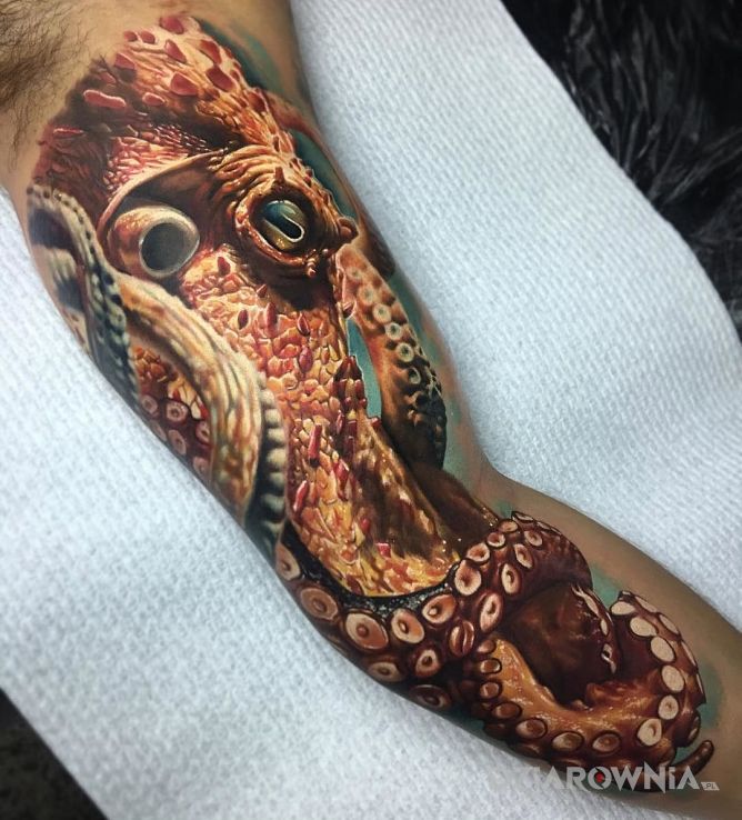 Tatuaż realistyczna ośmiornica w motywie zwierzęta i stylu realistyczne na ramieniu