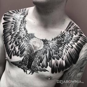 Tatuaż Orzel na klatce motyw: zwierzęta styl: realistyczne