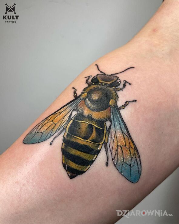 Tatuaż owad w motywie ornamenty i stylu organika na ręce
