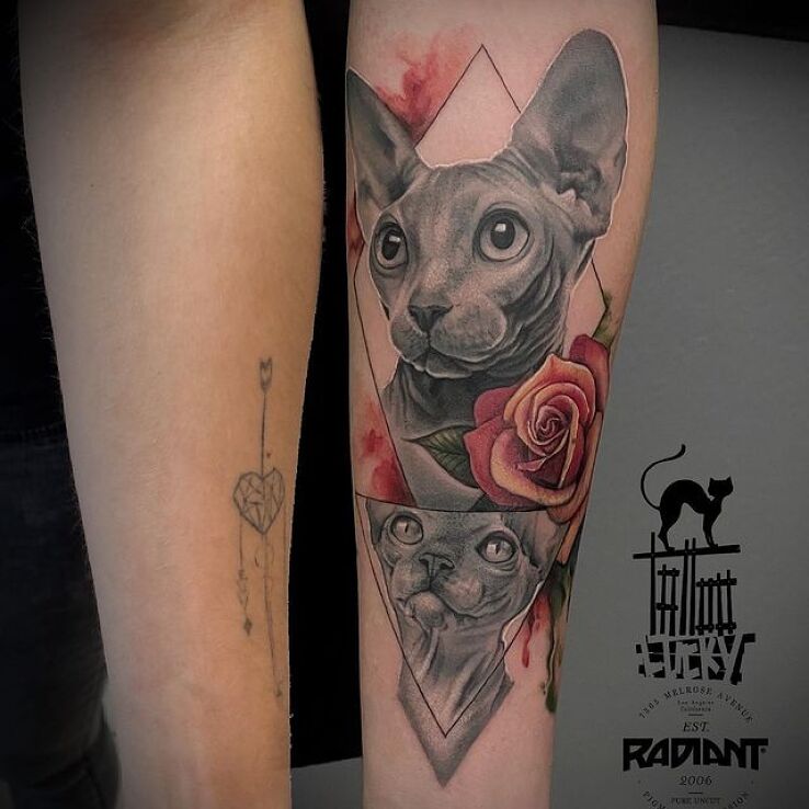 Tatuaż kotki sfinksy z różą w motywie kwiaty i stylu realistyczne na przedramieniu