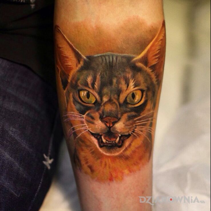 Tatuaż kot  kotek w motywie kolorowe i stylu realistyczne na ręce