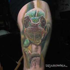 Tatuaż Kameleon na nodze motyw: zwierzęta styl: realistyczne