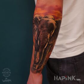 Tattoo Elephant on the forearm motif: colorful style: realistic