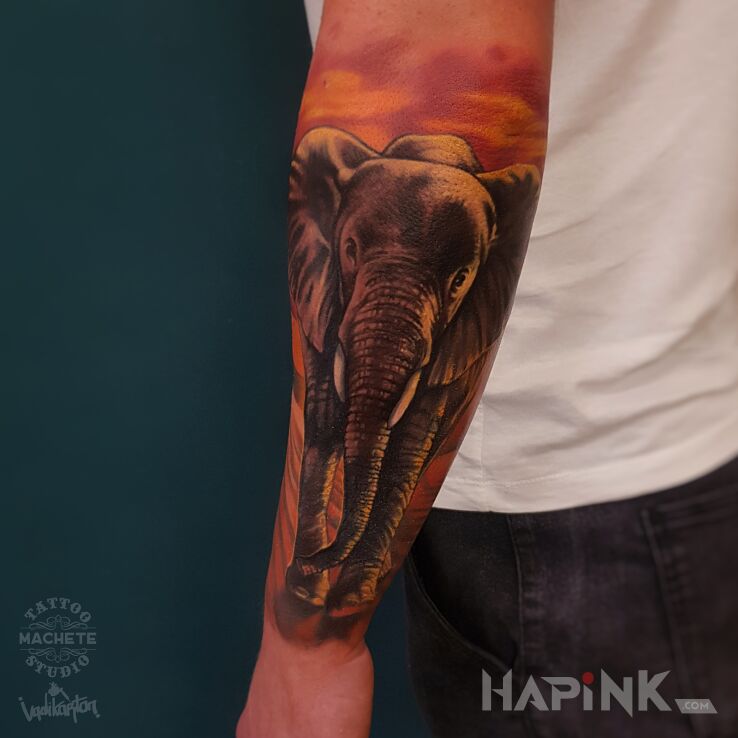 Tattoo Słoń in colorful motif and realistic style on the forearm