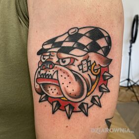 Tatuaż Buldog / Pies / Cwaniak na ręce motyw: śmieszne styl: oldschool