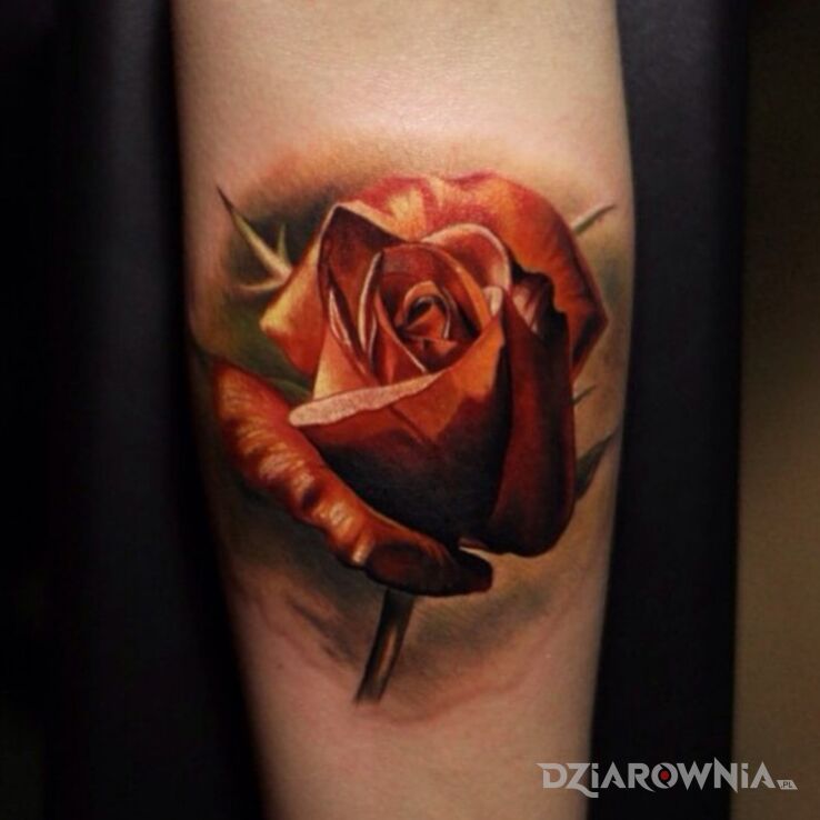 Tatuaż kwiat  róża w motywie kolorowe i stylu realistyczne na ręce