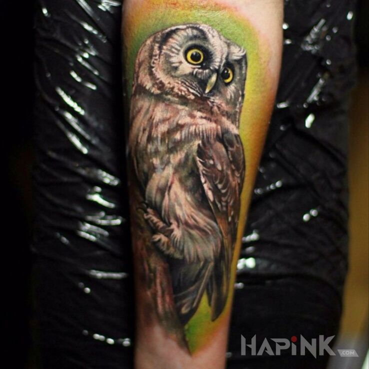 Tattoo Sowa / Ptak in colorful motif and realistic style on the forearm
