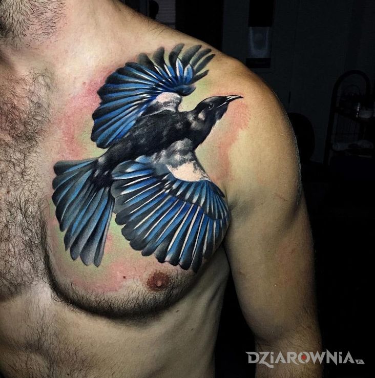 Tatuaż niebieski ptak w motywie kolorowe i stylu realistyczne na klatce