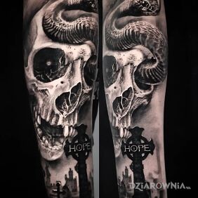 Tatuaż Skull. snake na przedramieniu motyw: zwierzęta styl: realistyczne