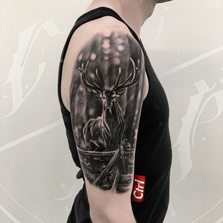 Tatuaż jeleń w motywie czarno-szare i stylu realistyczne na ramieniu