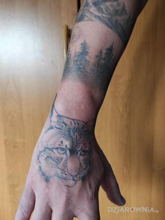 Tatuaż ryś w motywie natura i stylu realistyczne na dłoni